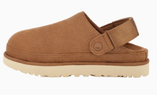 UGG Women's Goldenstar Clog Color Chestnut
